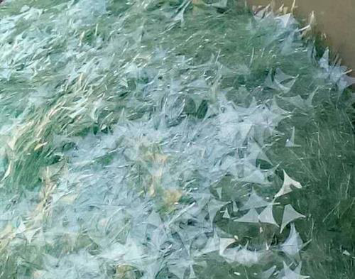 雨花台区玻璃废料回收